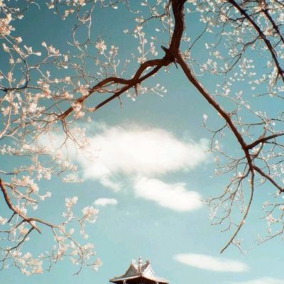 木瓜奇迹破解版下载